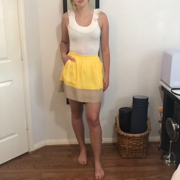 J.Crew Factory Pleated Color Block Skirt - Picture 4 of 9